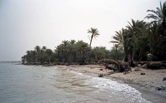 السهل الساحلي